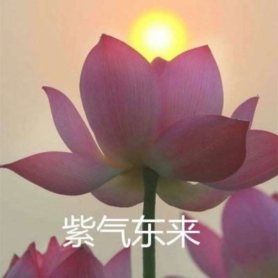 疯狂的悟空手游百度版下载